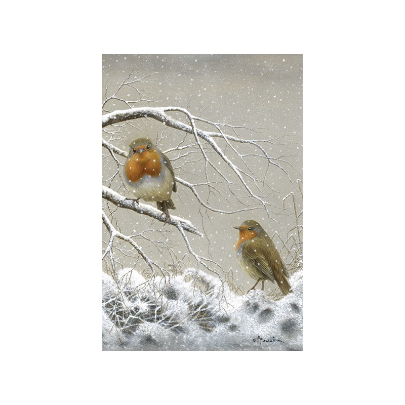 5 cartes de correspondance - Série 12 (Buzin) 5 cartes de correspondance - Série 12 (Buzin)