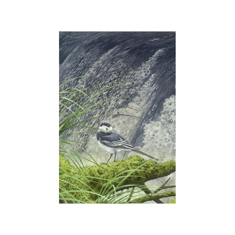 5 cartes de correspondance - Série 12 (Buzin) 5 cartes de correspondance - Série 12 (Buzin)