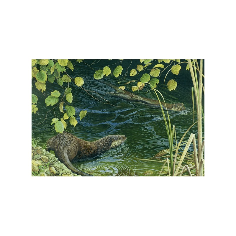 5 cartes de correspondance - Série 12 (Buzin) 5 cartes de correspondance - Série 12 (Buzin)