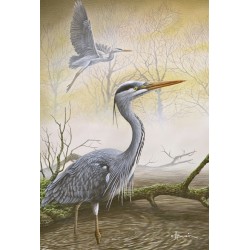 5 cartes de correspondance - Série 12 (Buzin) 5 cartes de correspondance - Série 12 (Buzin)