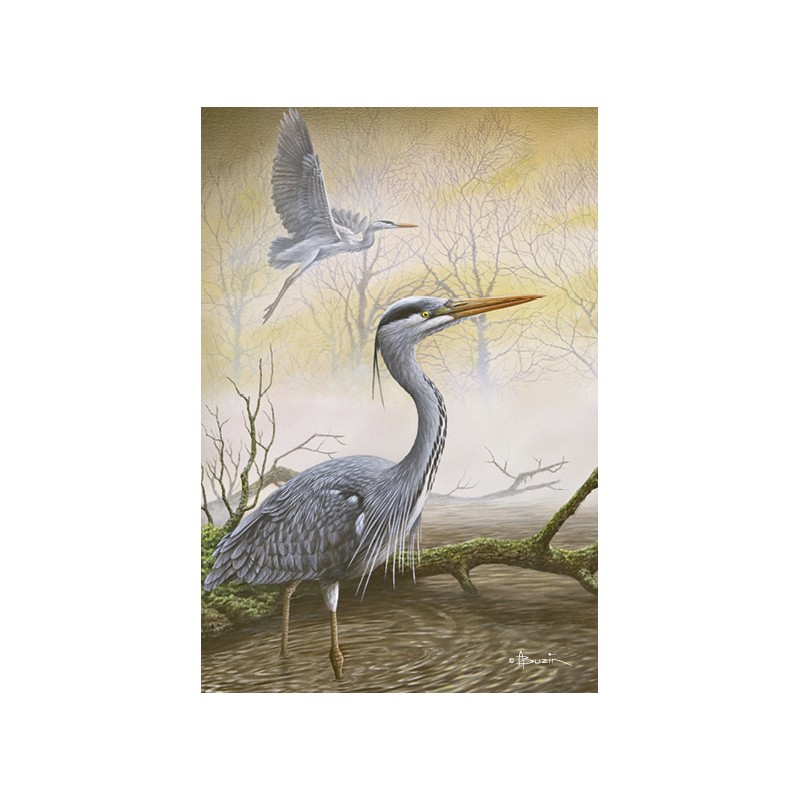 5 cartes de correspondance - Série 12 (Buzin) 5 cartes de correspondance - Série 12 (Buzin)