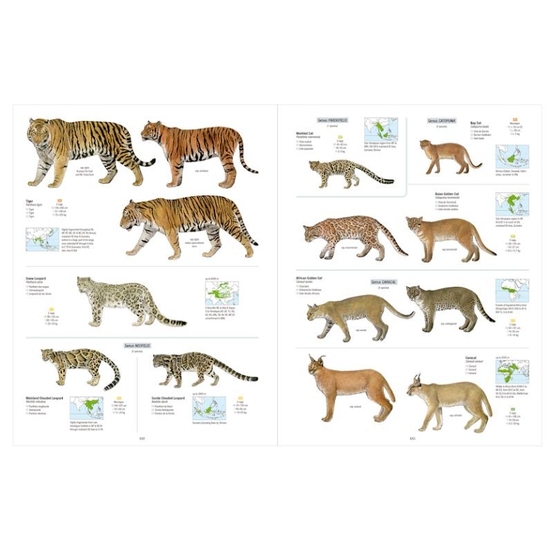 All the Mammals of the World