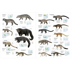 All the Mammals of the World