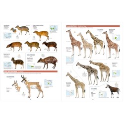 All the Mammals of the World