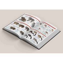 All the Mammals of the World