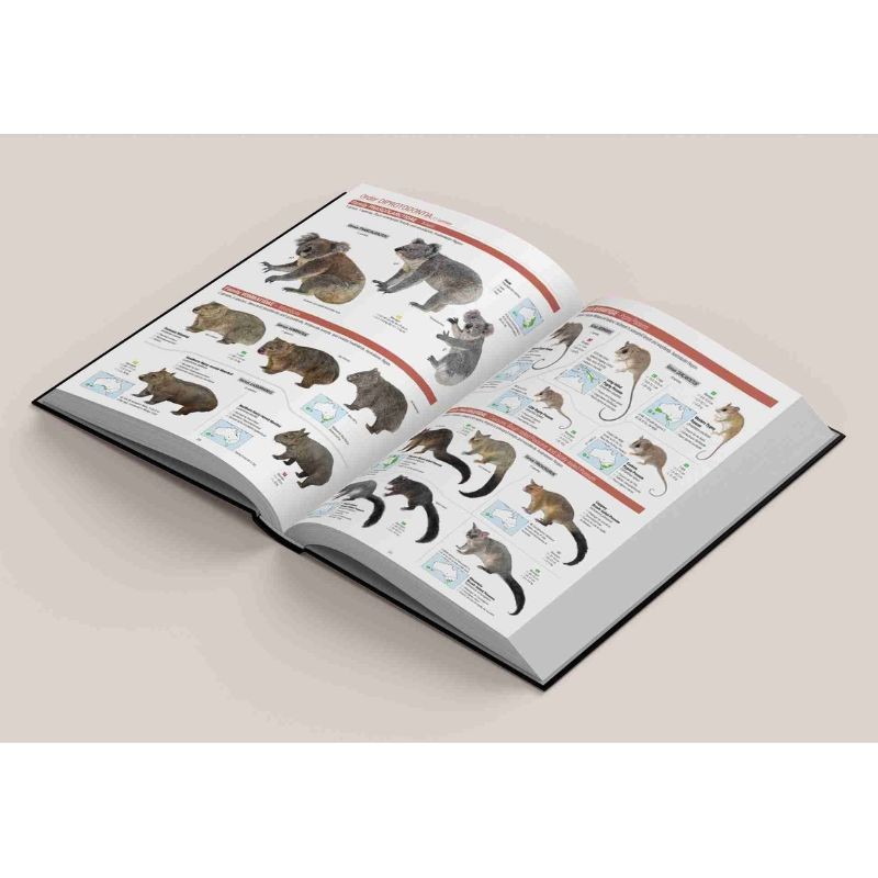 All the Mammals of the World