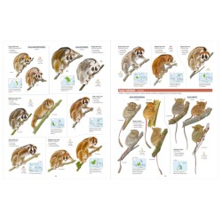 All the Mammals of the World