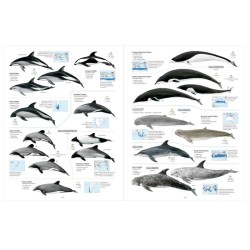 All the Mammals of the World