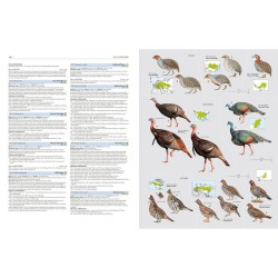 HBW and BirdLife Int. Illustrated Checklist of the Birds of the World - Volume 1 Non-Passerines