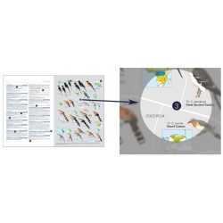 HBW and BirdLife Int. Illustrated Checklist of the Birds of the World - Volume 1 Non-Passerines