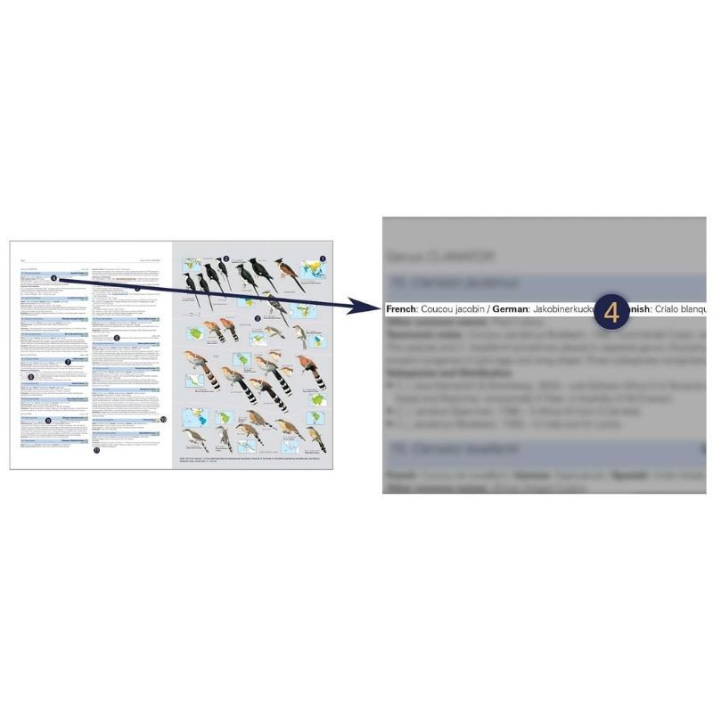 HBW and BirdLife Int. Illustrated Checklist of the Birds of the World - Volume 1 Non-Passerines