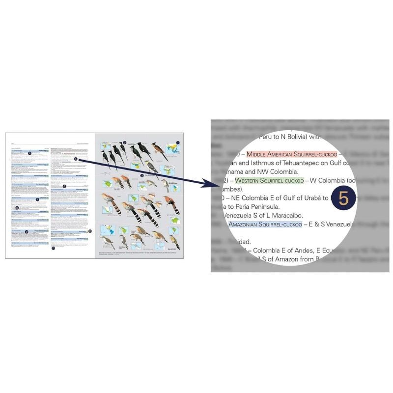 HBW and BirdLife Int. Illustrated Checklist of the Birds of the World - Volume 1 Non-Passerines
