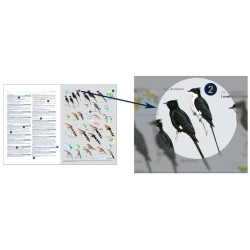 HBW and BirdLife Int. Illustrated Checklist of the Birds of the World - Volume 1 Non-Passerines