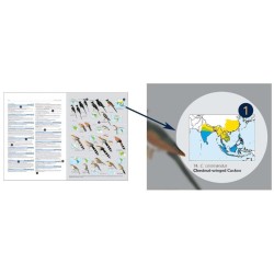 HBW and BirdLife Int. Illustrated Checklist of the Birds of the World - Volume 1 Non-Passerines