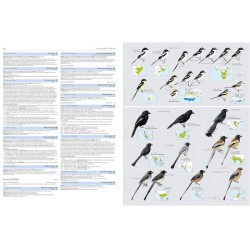 HBW and BirdLife Int. Illustrated Checklist of the Birds of the World - Volume 2 Passerines