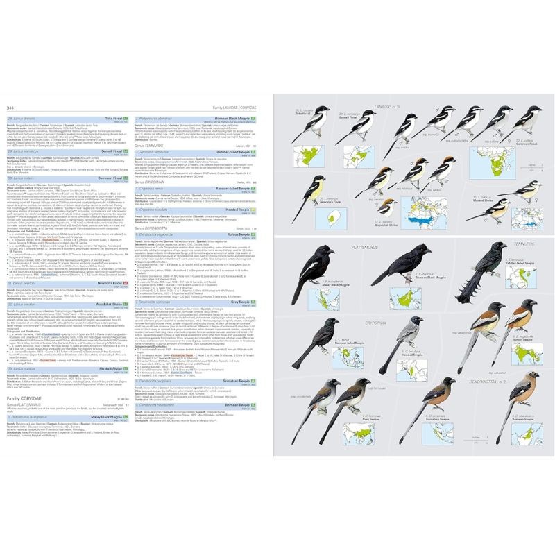 HBW and BirdLife Int. Illustrated Checklist of the Birds of the World - Volume 2 Passerines