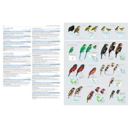 HBW and BirdLife Int. Illustrated Checklist of the Birds of the World - Volume 2 Passerines