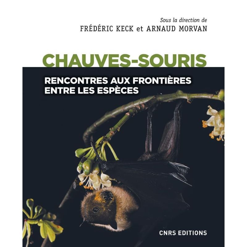 Chauves-souris - Rencontres aux frontières entre les espèces