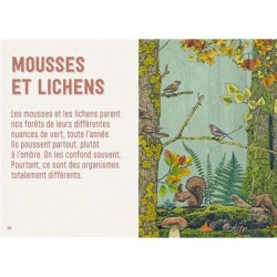 En forêt - S'émerveiller - Comprendre - Expérimenter
