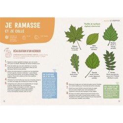 En forêt - S'émerveiller - Comprendre - Expérimenter