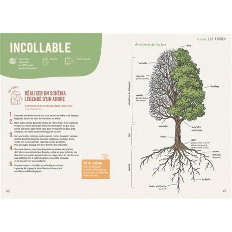 En forêt - S'émerveiller - Comprendre - Expérimenter