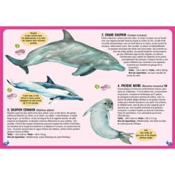 Guide des mammifères du monde - QR code et lien video