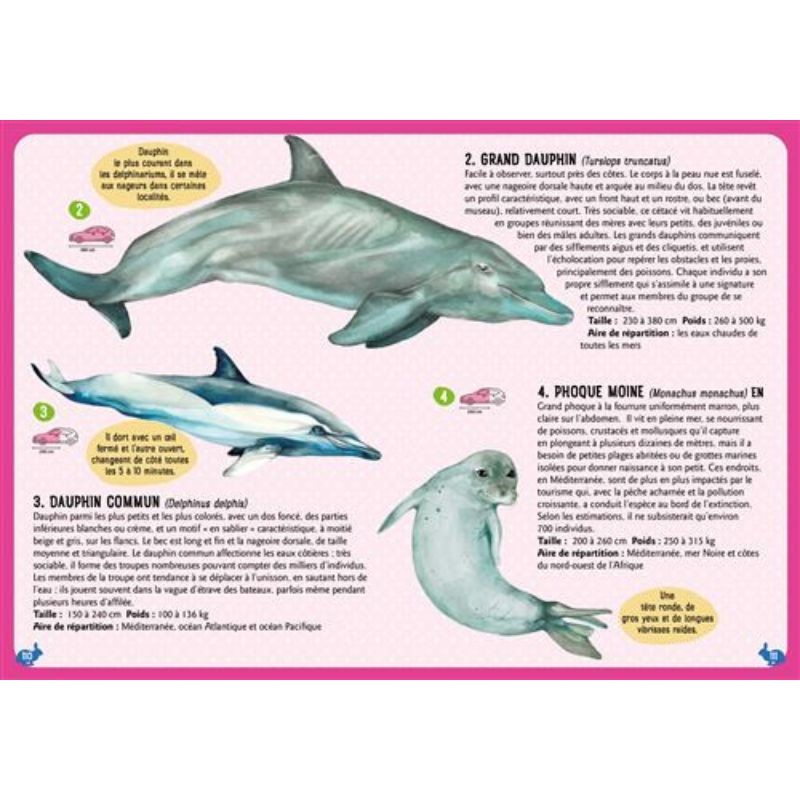 Guide des mammifères du monde - QR code et lien video