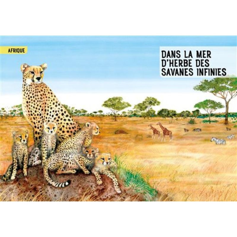 Guide des mammifères du monde - QR code et lien video