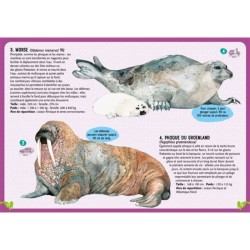 Guide des mammifères du monde - QR code et lien video