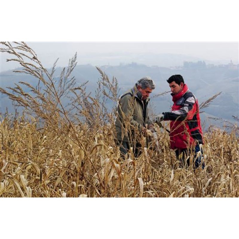 Prendre soin de son sol - Mieux le comprendre, le fertiliser et favoriser la vie Prendre soin de son sol - Mieux le comprendre, le fertiliser et favoriser la vie