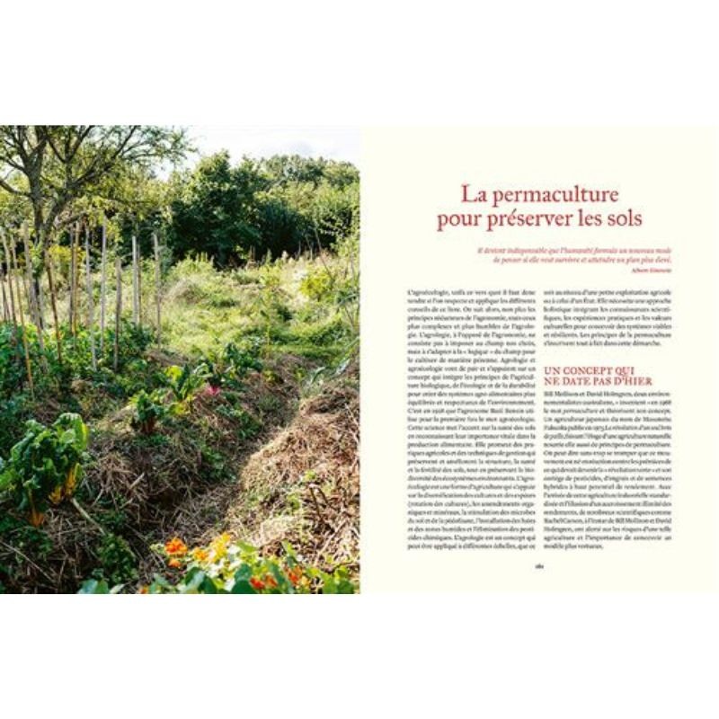 Prendre soin de son sol - Mieux le comprendre, le fertiliser et favoriser la vie Prendre soin de son sol - Mieux le comprendre, le fertiliser et favoriser la vie