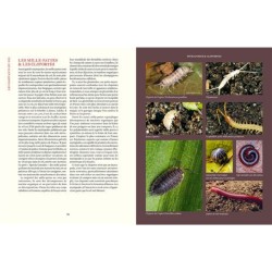 Prendre soin de son sol - Mieux le comprendre, le fertiliser et favoriser la vie Prendre soin de son sol - Mieux le comprendre, le fertiliser et favoriser la vie