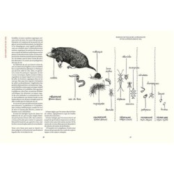 Prendre soin de son sol - Mieux le comprendre, le fertiliser et favoriser la vie Prendre soin de son sol - Mieux le comprendre, le fertiliser et favoriser la vie