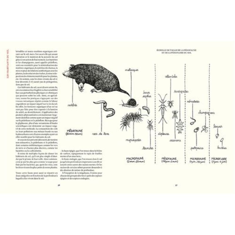 Prendre soin de son sol - Mieux le comprendre, le fertiliser et favoriser la vie Prendre soin de son sol - Mieux le comprendre, le fertiliser et favoriser la vie
