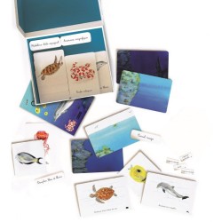 Mon coffret Montessori Océans