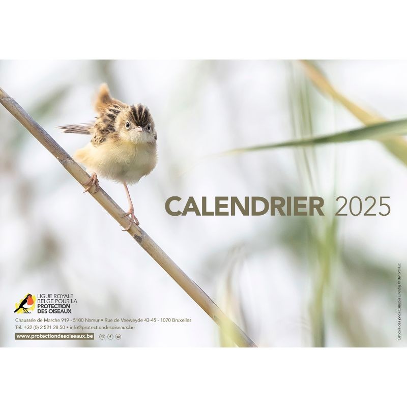 Calendrier des Oiseaux 2025