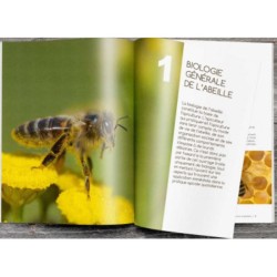 Etre performant en apiculture