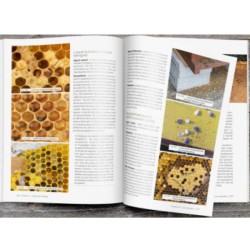 Etre performant en apiculture