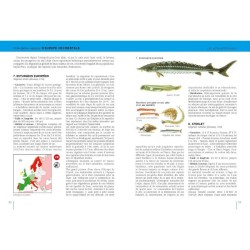Poissons d'eau douce - Europe occidentale  tempérée et Scandinavie