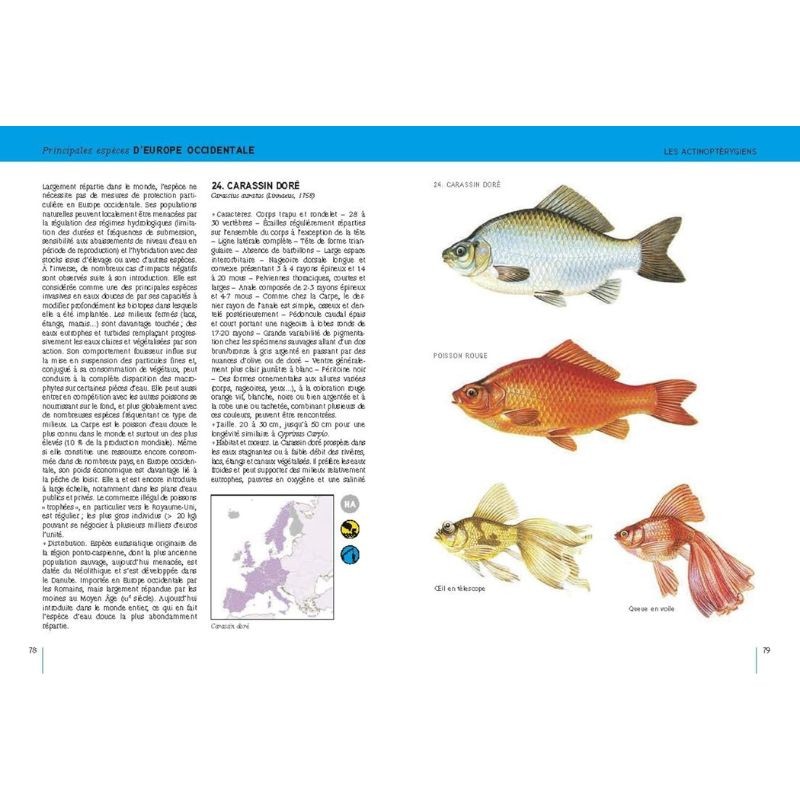 Poissons d'eau douce - Europe occidentale  tempérée et Scandinavie