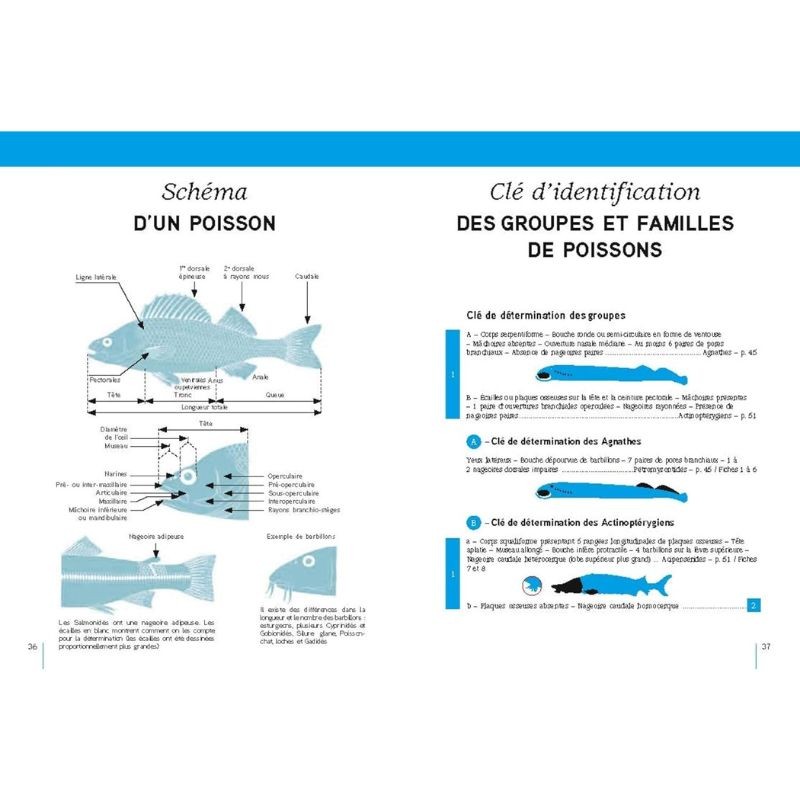 Poissons d'eau douce - Europe occidentale  tempérée et Scandinavie