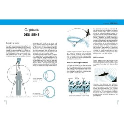 Poissons d'eau douce - Europe occidentale  tempérée et Scandinavie
