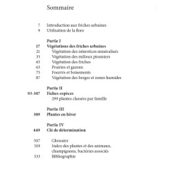 Flore des friches urbaines