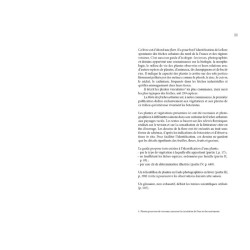 Flore des friches urbaines