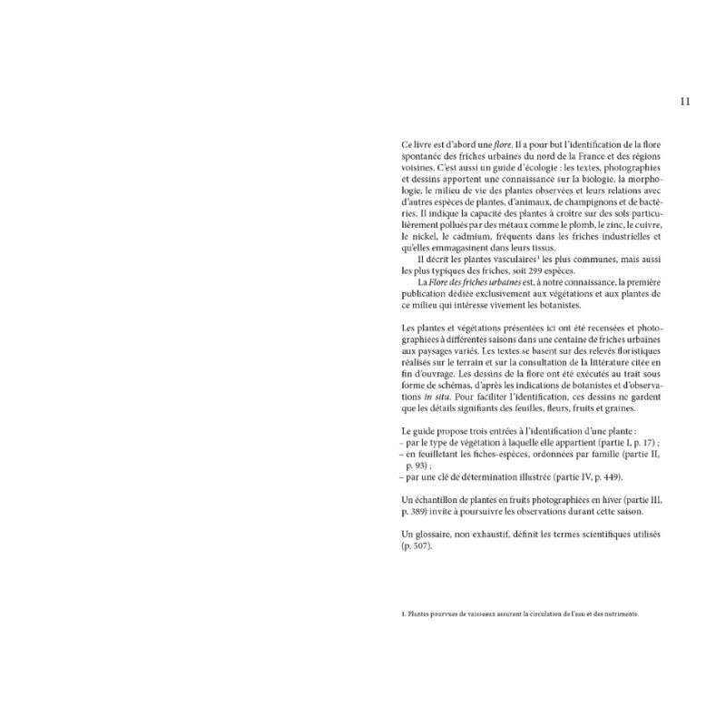 Flore des friches urbaines