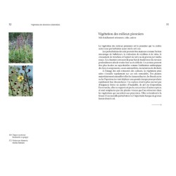 Flore des friches urbaines