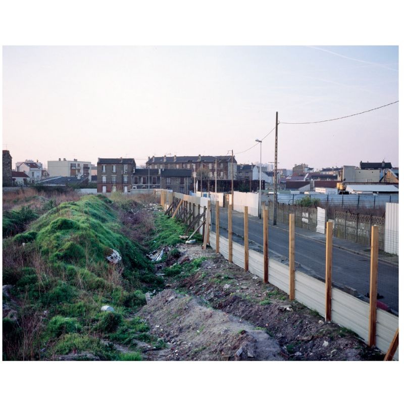 Flore des friches urbaines