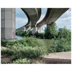 Flore des friches urbaines