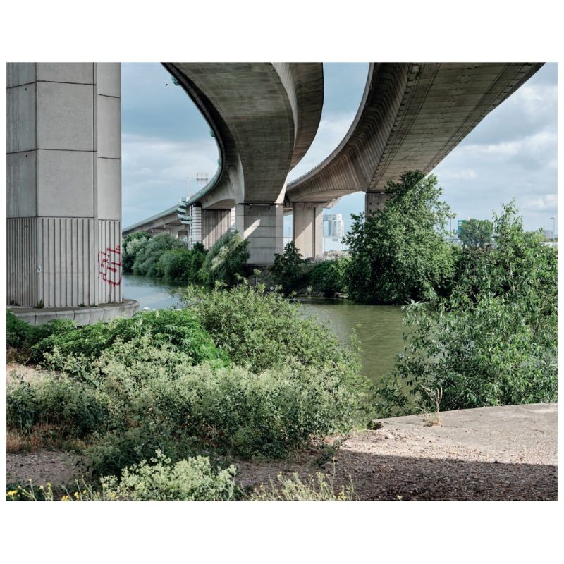 Flore des friches urbaines