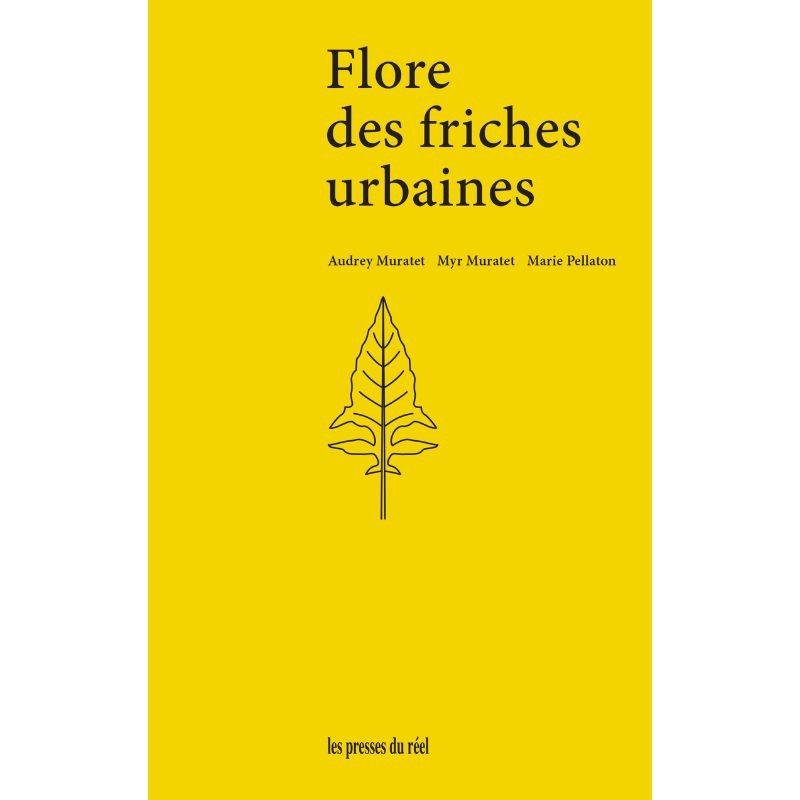 Flore des friches urbaines